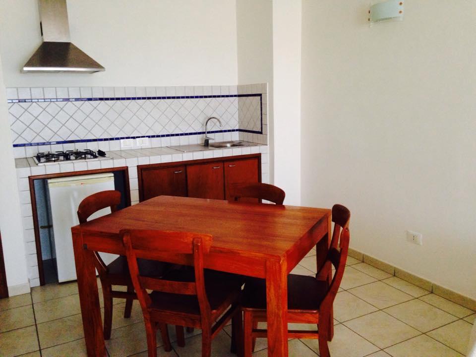 One-Bedroom Apartment,247884557:JPEG